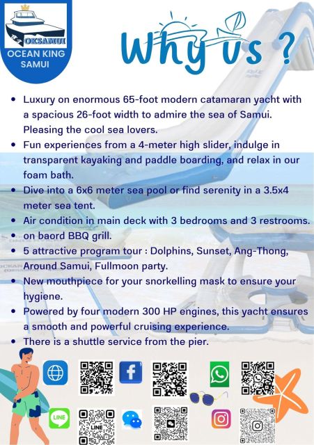 Samui Dolphins Tour by Catamaran Yacht - Refreshments and What to Bring
