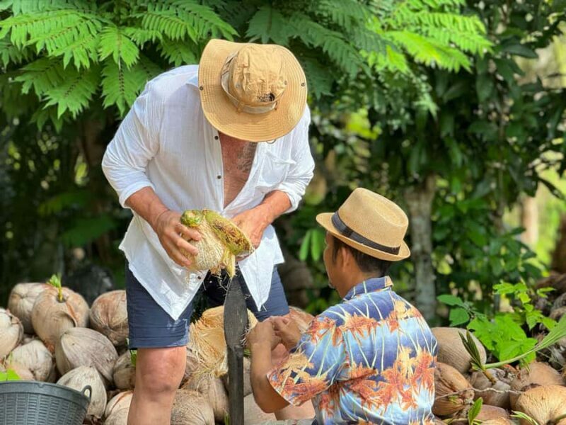 Samui: Ethical Elephants Sanctuary and Coconut Experience - Key Points