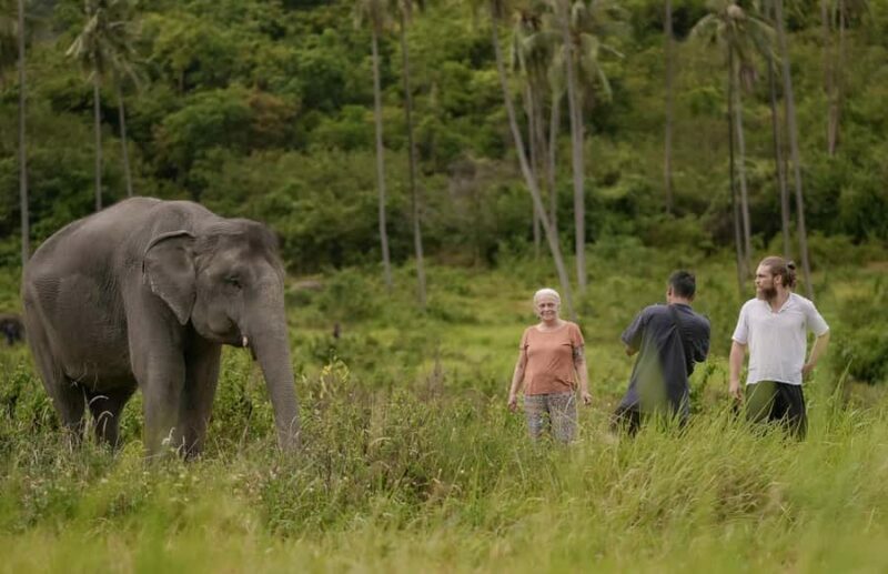 Samui: Ethical Elephants Sanctuary and Coconut Experience - Final Thoughts