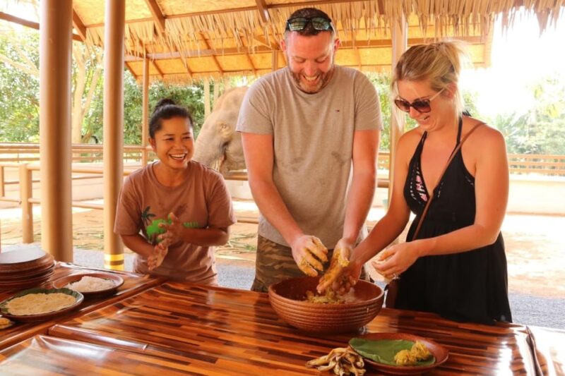 Samui: Feeding Program at the Elephant Home Nursery - The Feeding Program Details