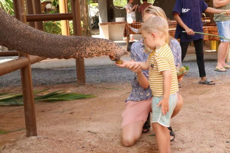 Samui: Feeding Program at the Elephant Home Nursery - A Deep Dive into the Experience