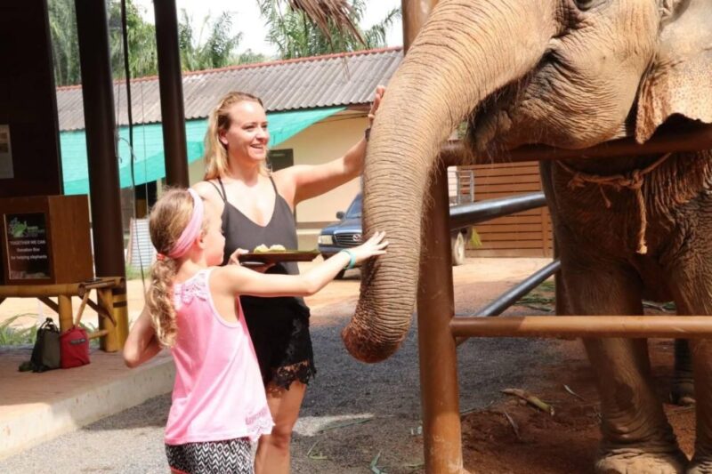 Samui: Feeding Program at the Elephant Home Nursery - Key Points