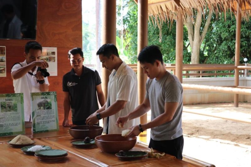 Samui: Feeding Program at the Elephant Home Nursery - Important Information