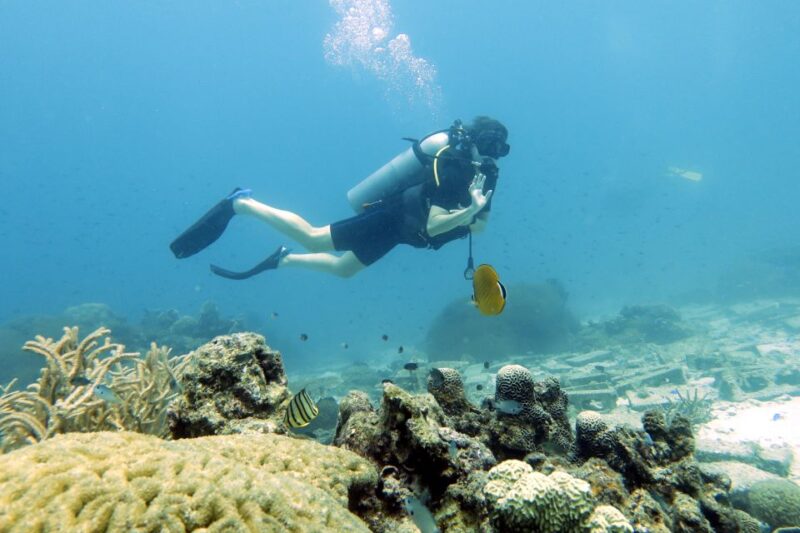 Samui: Intro Dive in Koh Tao - Key Points