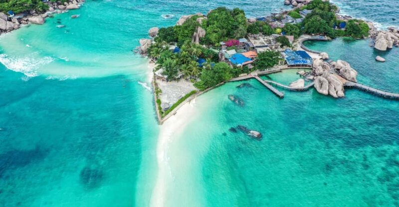 Samui Koh Tao & Koh Nang Yuan One Day Tour By Speed Boat - Key Points