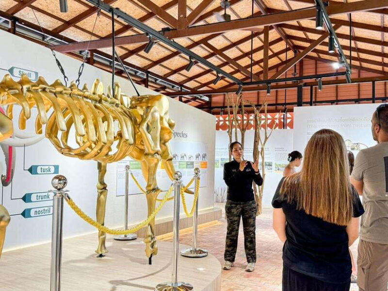 Samui: the First Elephant Museum & Jungle Walk With Elephant - Pricing and Booking Information