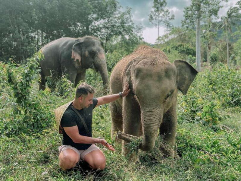Samui: the First Elephant Museum & Jungle Walk With Elephant - Inclusion and Amenities