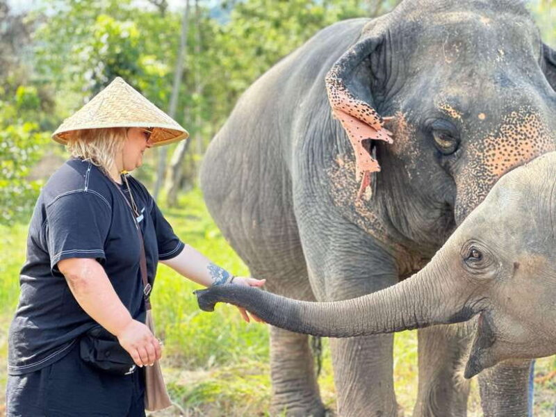 Samui: the First Elephant Museum & Jungle Walk With Elephant - Important Information and Recommendations