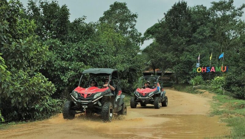 Samui X Quad 4WD Buggy Tour With Lunch - Tour Overview and Details