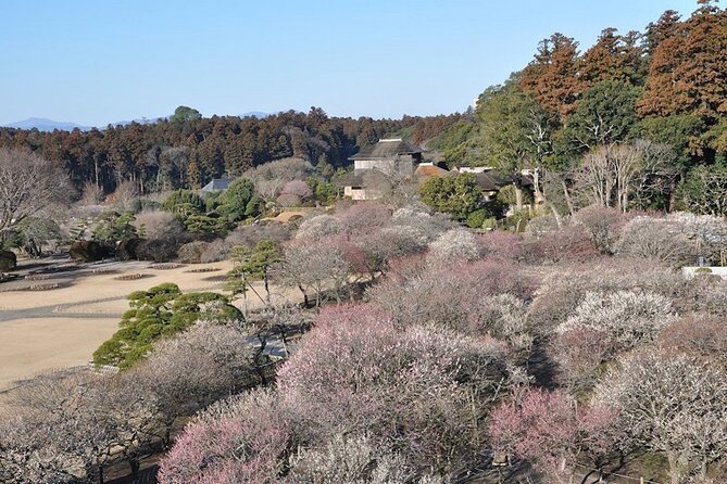 Samurai Private Tour With Umeshu Tasting in Mito - Transportation