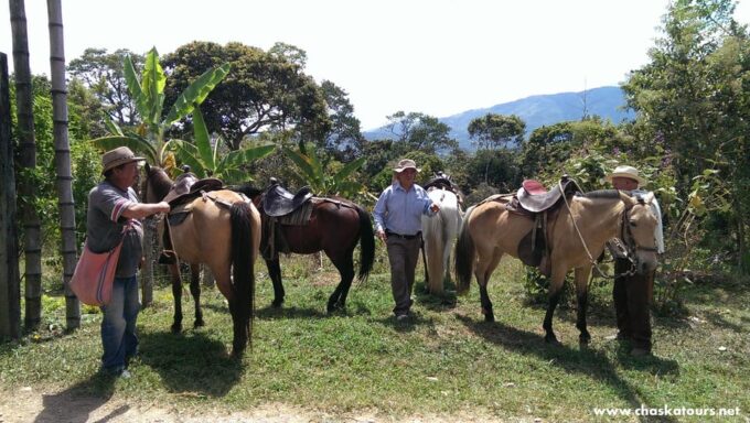 San Agustín to Popayán: Coffee & Colonial Streets (4D/3N) - Recap