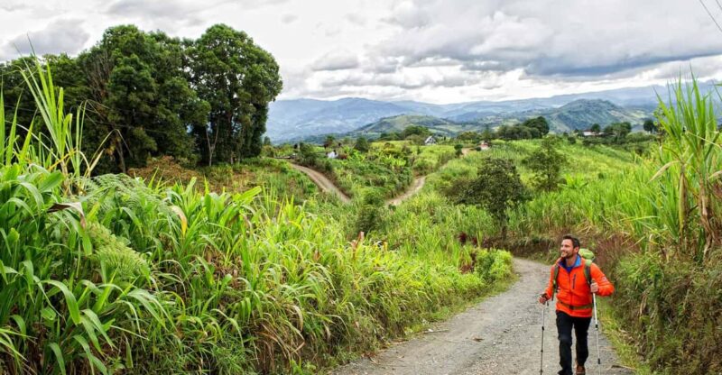 San Agustín to Popayán: Coffee & Colonial Streets (4D/3N) - Activities and Experiences