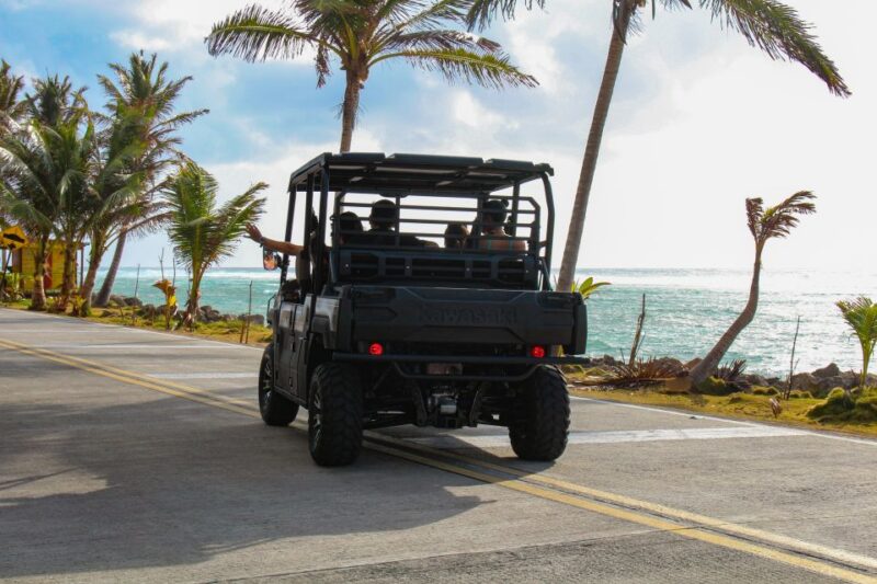 San Andrés: Beach Buggy Car Rental - Vehicle Information