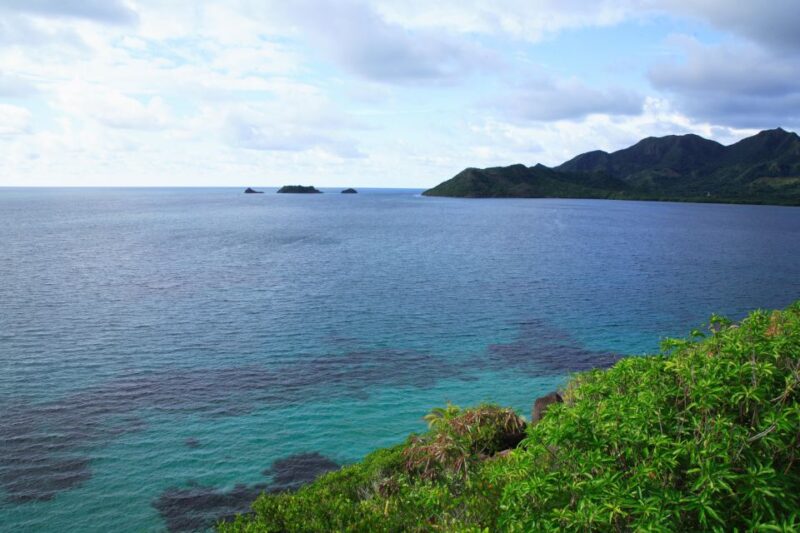 San Andrés: Guided Cays and Mangroves Tour - Included in the Tour