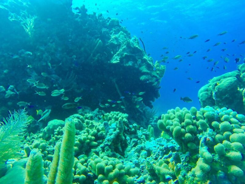 San Andrés: Guided Cays and Mangroves Tour - Cancellation and Booking Policy