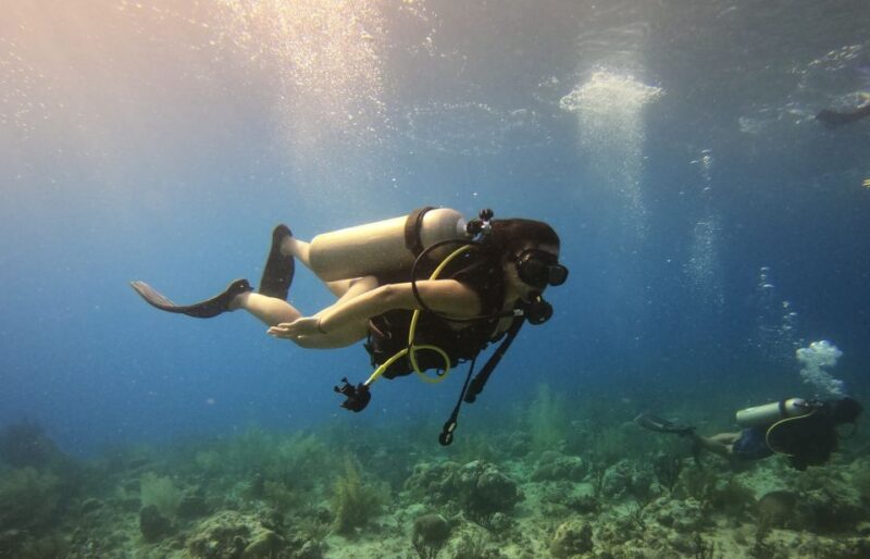 San Andrés: Guided Scuba Diving Trip With Hotel Transfer - Experience and Itinerary