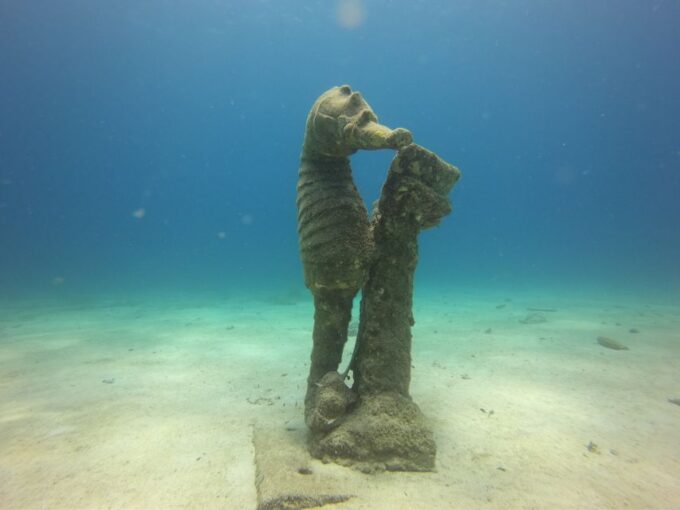 San Andrés: Guided Scuba Diving Trip With Hotel Transfer - Frequently Asked Questions
