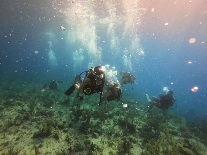 San Andrés: Guided Scuba Diving Trip With Hotel Transfer - Key Points