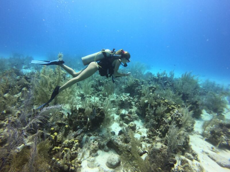 San Andrés: Guided Scuba Diving Trip With Hotel Transfer - Included and Excluded