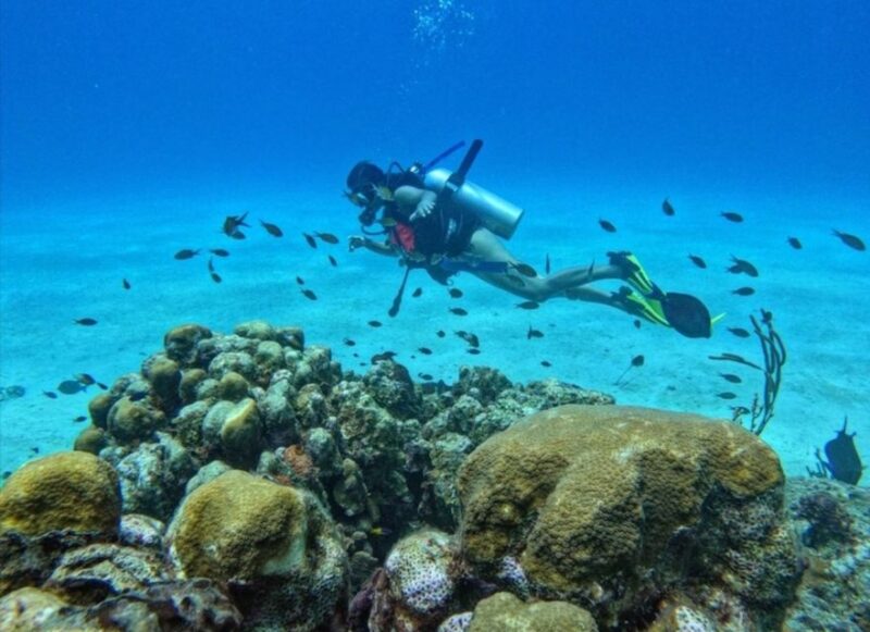 San Andrés Island: Personalized Mini Scuba Diving Course - Key Points