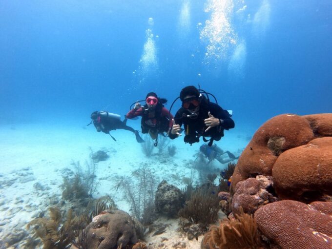 San Andres: SCUBA Diving Experience With Hotel Pickup - Pickup and Transportation