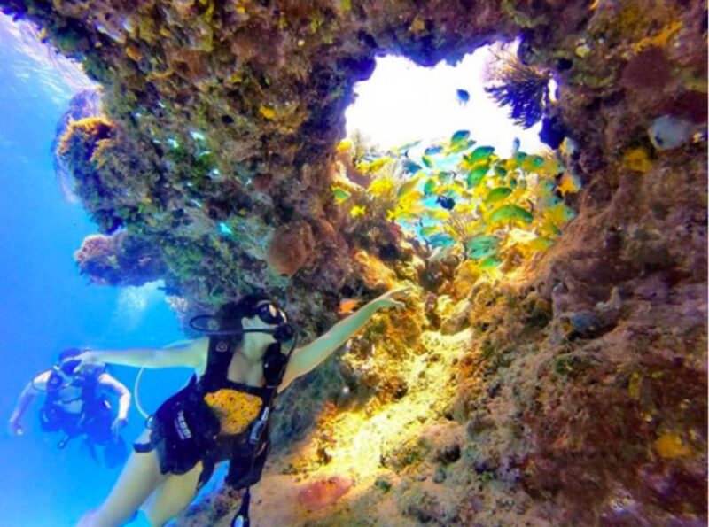 San Andres: SCUBA Diving Experience With Hotel Pickup - Equipment and Safety