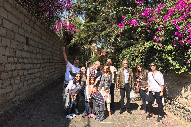 San Angel Mexican Food Tour - Traveler Reviews