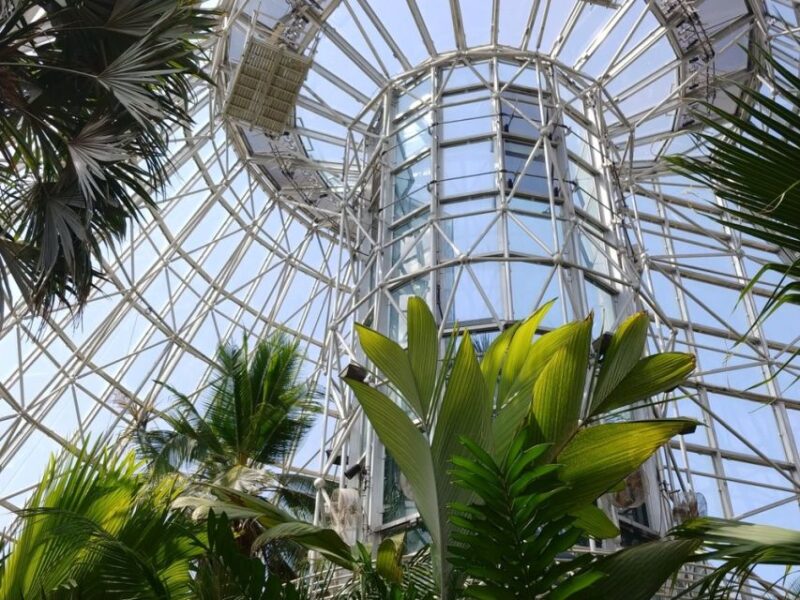 San Antonio CityPASS®: Experience 4 Must-See Attractions - Attractions Included in CityPASS