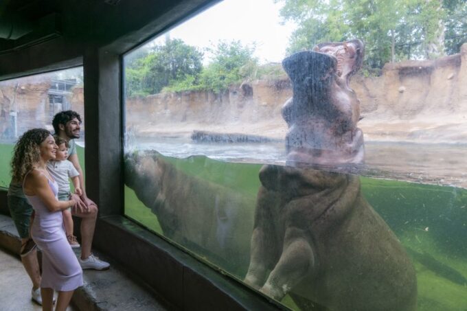 San Antonio CityPASS®: Experience 4 Must-See Attractions - Attractions Details and Descriptions