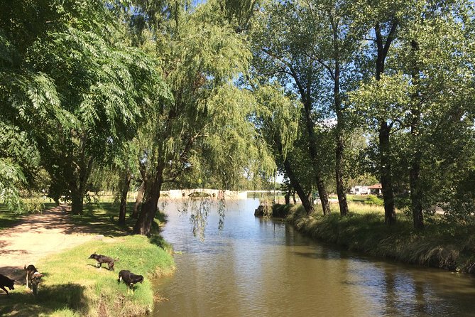 San Antonio De Areco and Lujan Day Trip From Buenos Aires - Admiring the Gothic Cathedral of Lujan