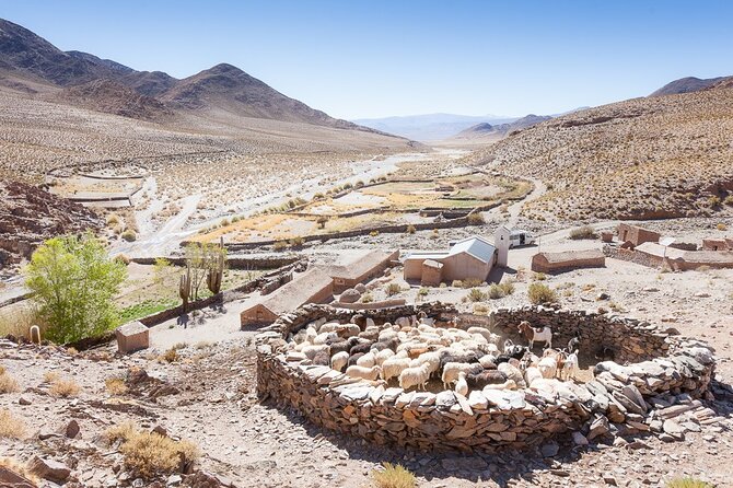 San Antonio De Los Cobres: Day Venture From Salta - Key Points
