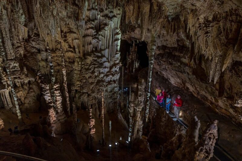 San Antonio: Discovery Tour at Natural Bridge Caverns - Experience Highlights