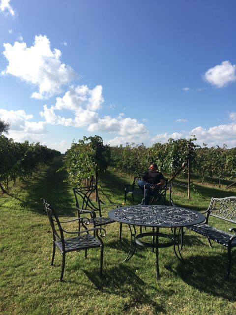 San Antonio: Fredericksburg Wineries Day Trip With Tastings - Key Points