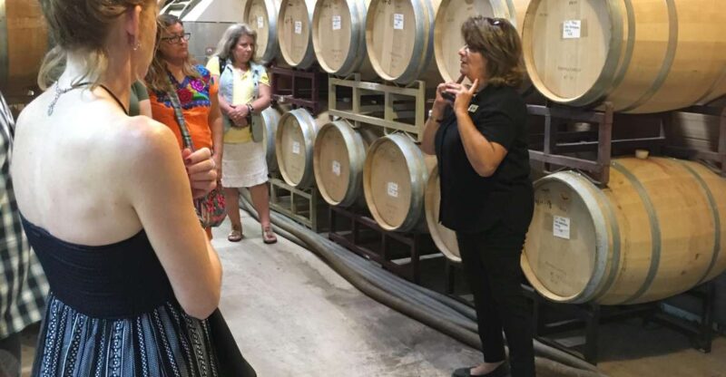 San Antonio: Fredericksburg Wineries Day Trip With Tastings - Itinerary Details