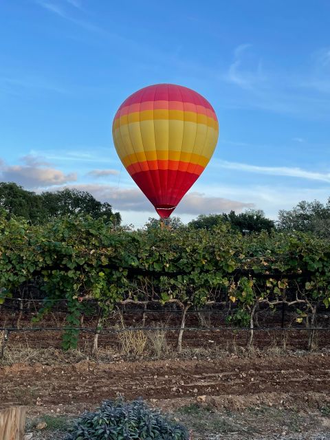 San Antonio: Fredericksburg Wineries Day Trip With Tastings - Important Information
