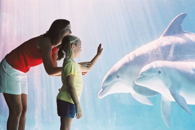 San Antonio: Go City Explorer Pass With 25+ Attractions - Frequently Asked Questions