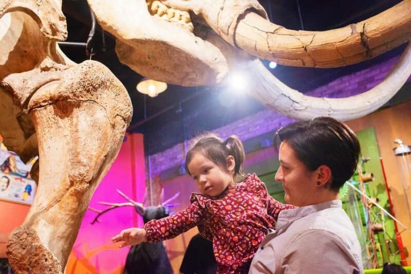 San Antonio: Ripley's Believe It or Not! 4 Attraction Ticket - What to Expect During Your Visit