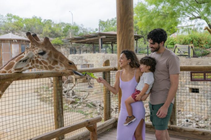 San Antonio: San Antonio Zoo Any Day Ticket - Frequently Asked Questions