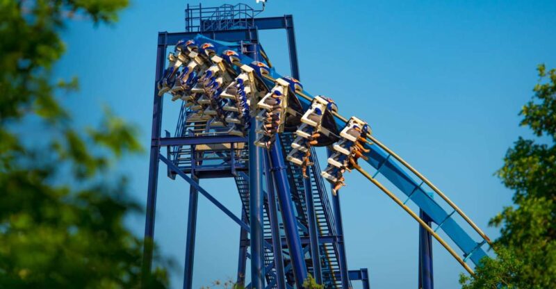 San Antonio: SeaWorld Skip-the-Line Park Admission Ticket - Animal Encounters and Highlights
