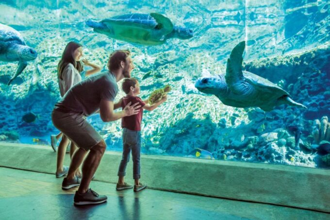 San Antonio: SeaWorld Skip-the-Line Park Admission Ticket - Seasonal Event: Howl-O-Scream