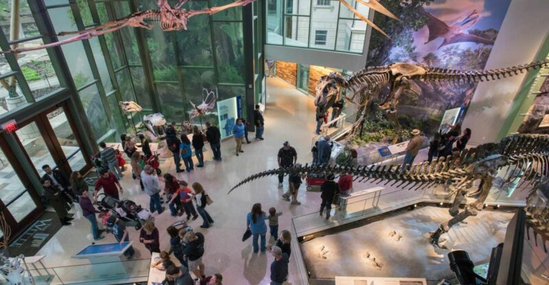 San Antonio: Witte Museum Admission Ticket - A Practical Guide to the Witte Museum Experience