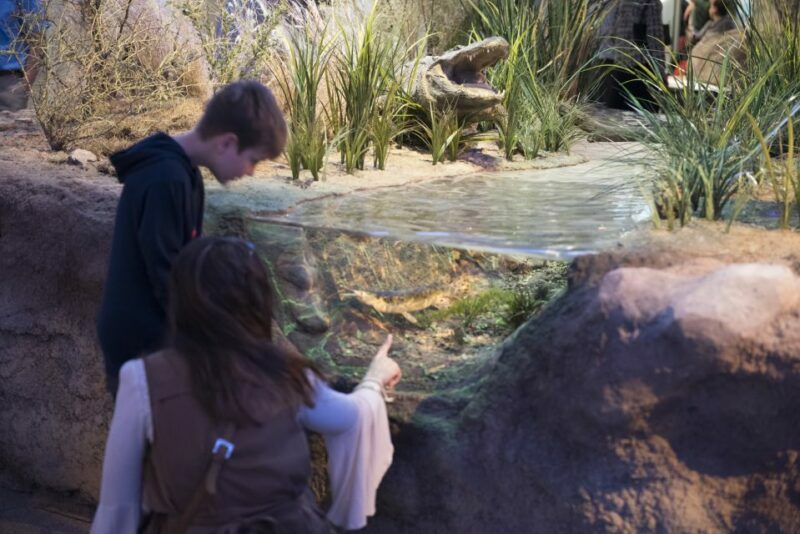 San Antonio: Witte Museum Admission Ticket - Final Thoughts
