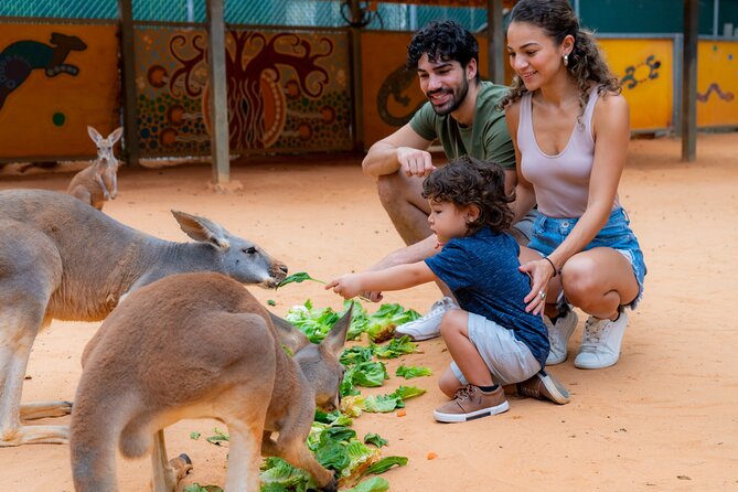 San Antonio Zoo General Admission Ticket - Featured Animal Exhibits