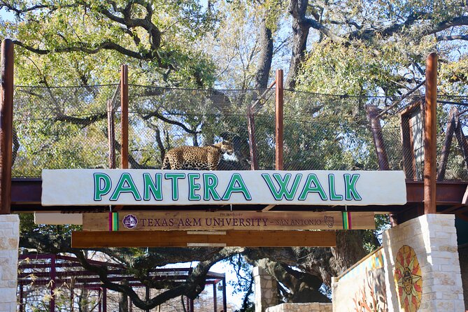 San Antonio Zoo General Admission Ticket - Visitor Experiences
