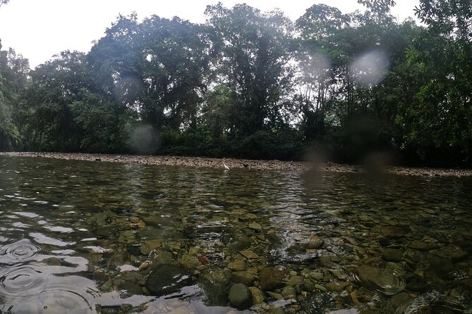San Cipriano Natural Reserve Full Day Adventure - Sights and Activities