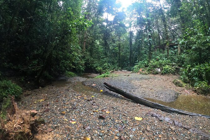 San Cipriano Natural Reserve Full Day Adventure - Booking and Cancellation Policies