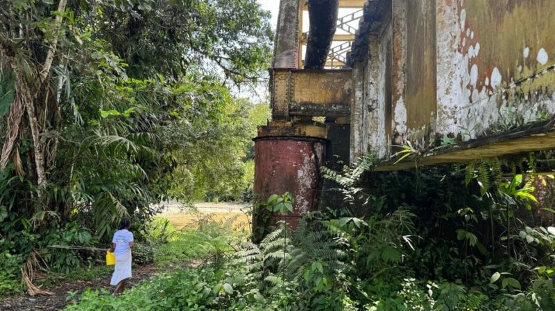 SAN CIPRIANO TOUR, THE PACIFIC JUNGLE - Itinerary Highlights