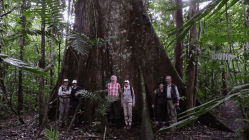 San Cristobal: 2 Days in the Southern Selva Lacandona Tour - Day 1 Highlights