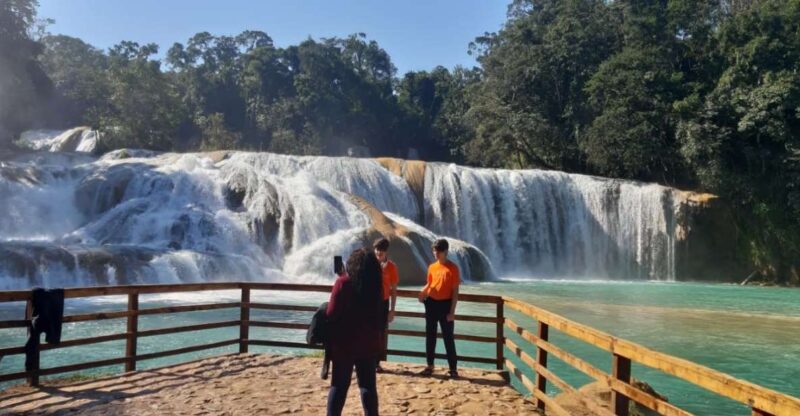 San Cristobal: Agua Azul, Misol Ha & Palenque Experience - Itinerary Highlights