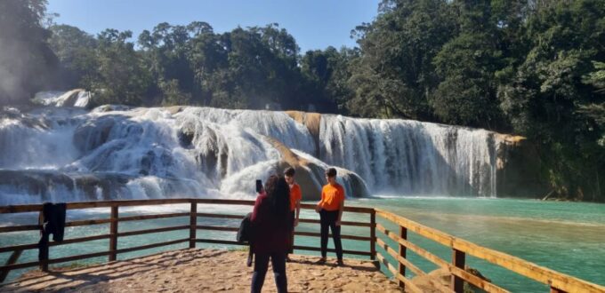 San Cristobal: Agua Azul, Misol Ha & Palenque Experience - Inclusions